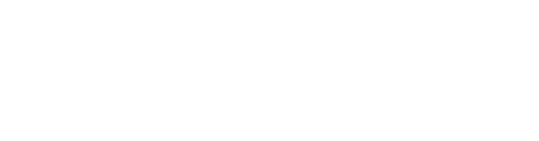 BitNinja Logo